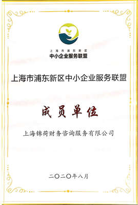 上海錦荷財務咨詢服務 專業引領，助您穩健前行